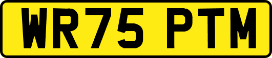 WR75PTM