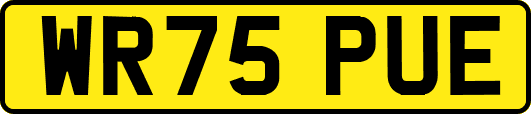 WR75PUE