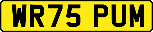 WR75PUM