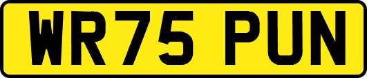 WR75PUN