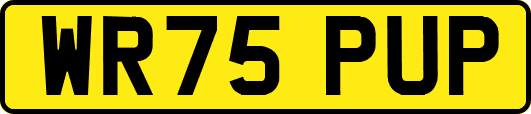 WR75PUP