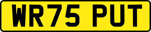 WR75PUT