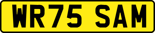 WR75SAM