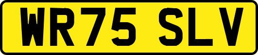 WR75SLV