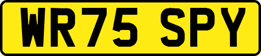WR75SPY