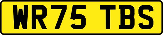 WR75TBS