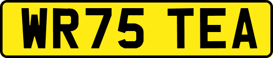 WR75TEA