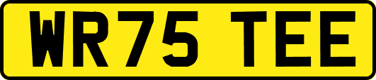 WR75TEE