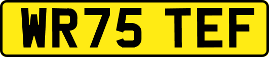 WR75TEF
