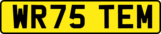 WR75TEM