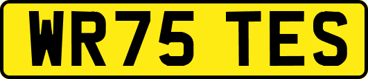 WR75TES