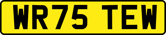 WR75TEW