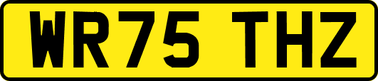 WR75THZ