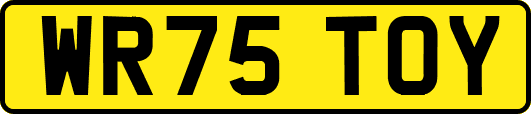 WR75TOY