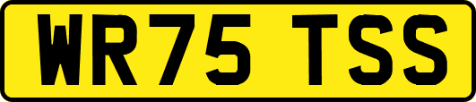 WR75TSS