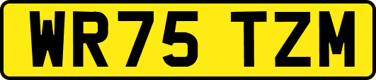 WR75TZM