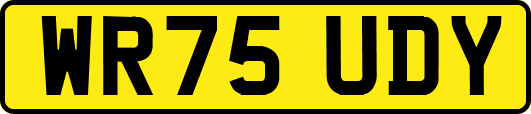 WR75UDY
