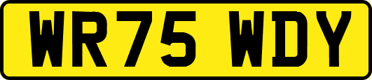WR75WDY