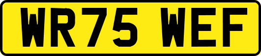 WR75WEF
