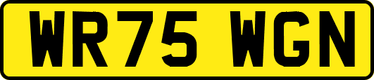 WR75WGN