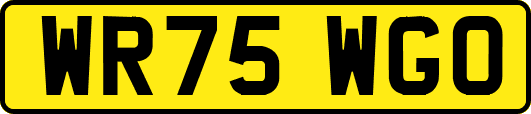 WR75WGO