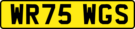 WR75WGS