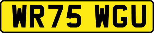 WR75WGU