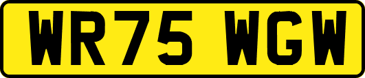 WR75WGW