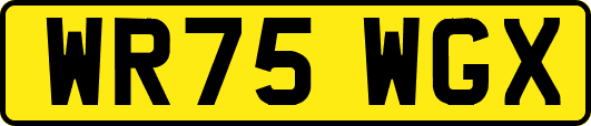 WR75WGX