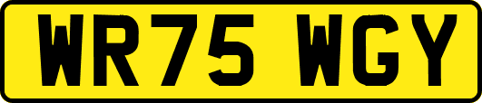 WR75WGY