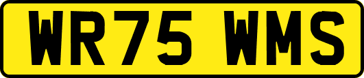 WR75WMS