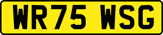 WR75WSG