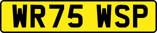 WR75WSP