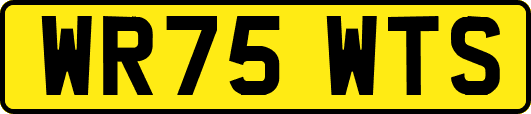 WR75WTS