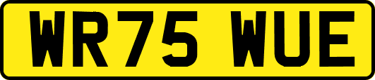 WR75WUE