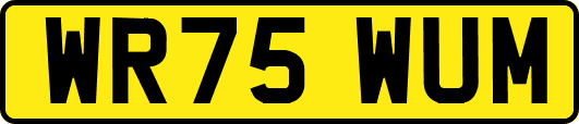 WR75WUM