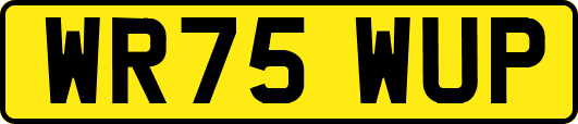 WR75WUP