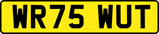 WR75WUT