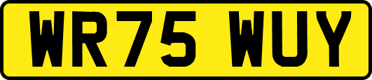 WR75WUY