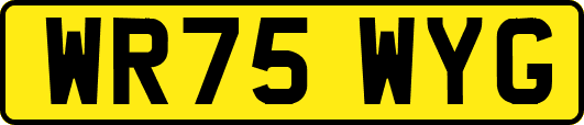 WR75WYG
