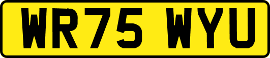 WR75WYU