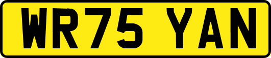 WR75YAN