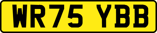 WR75YBB