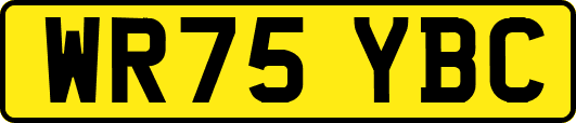WR75YBC