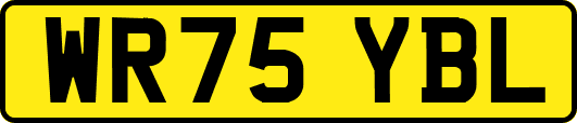 WR75YBL
