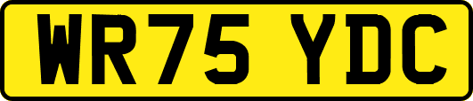 WR75YDC