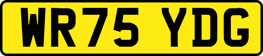 WR75YDG
