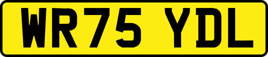 WR75YDL
