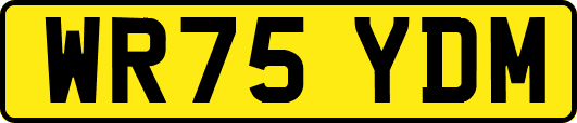 WR75YDM