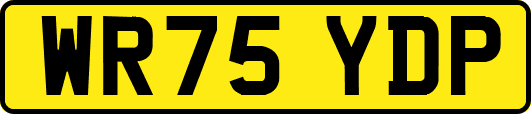 WR75YDP